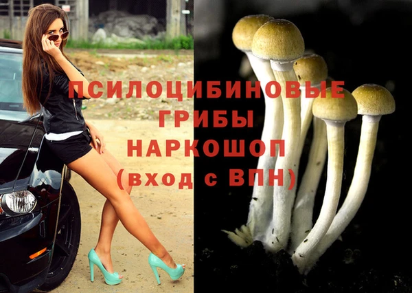 a pvp Майский