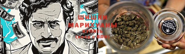 бошки Лагань