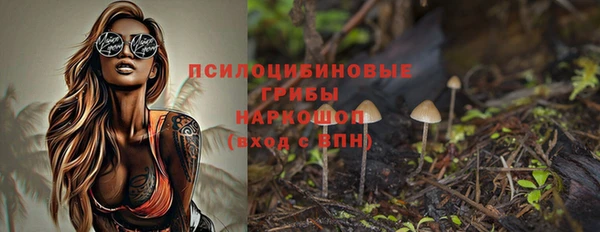 хмурый Ладушкин