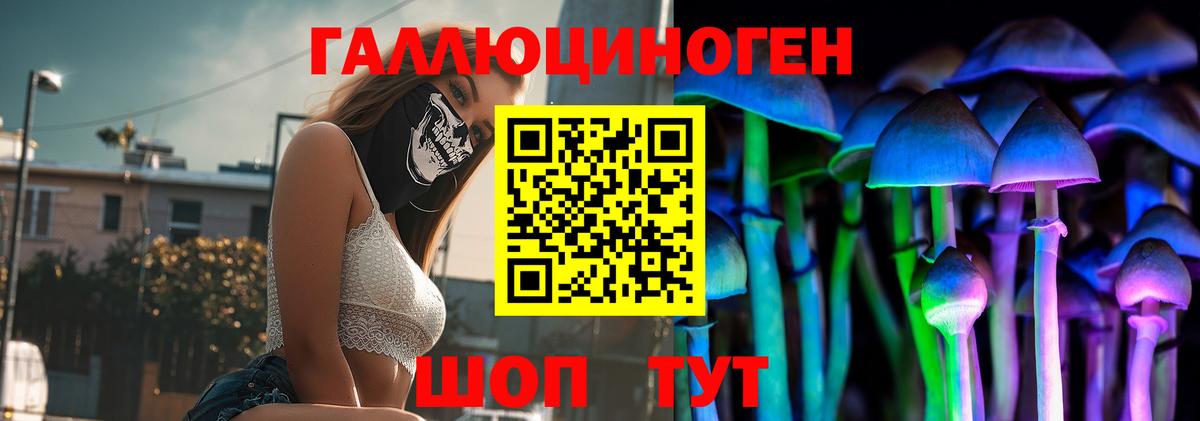 Галлюциногенные грибы GOLDEN TEACHER  Галлюциногенные грибы прущие грибы  Вход с VPN  Сосновый Бор 